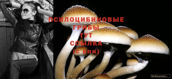 ECSTASY Каменногорск