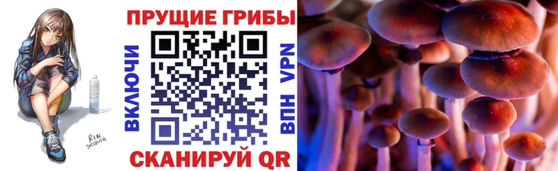 Купить где  Урай  Галлюциногенные грибы ЛСД 